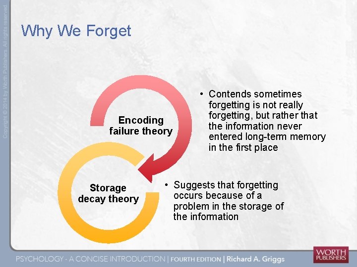 Why We Forget Encoding failure theory Storage decay theory • Contends sometimes forgetting is