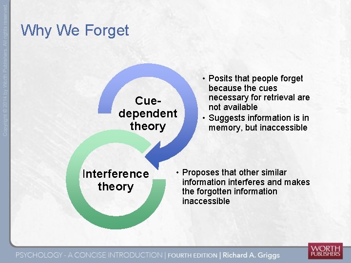 Why We Forget Cuedependent theory Interference theory • Posits that people forget because the