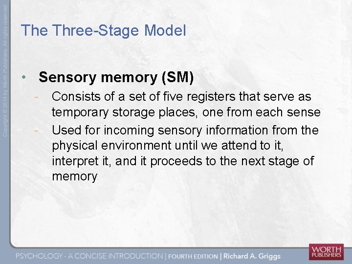 The Three-Stage Model • Sensory memory (SM) - Consists of a set of five