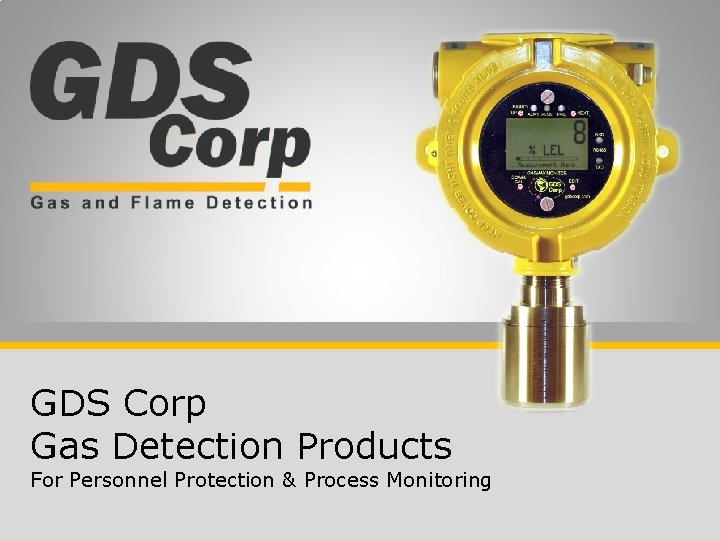 GDS Corp Gas Detection Products For Personnel Protection & Process Monitoring 