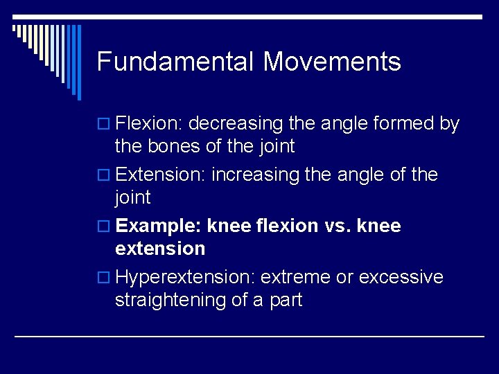 Fundamental Movements o Flexion: decreasing the angle formed by the bones of the joint