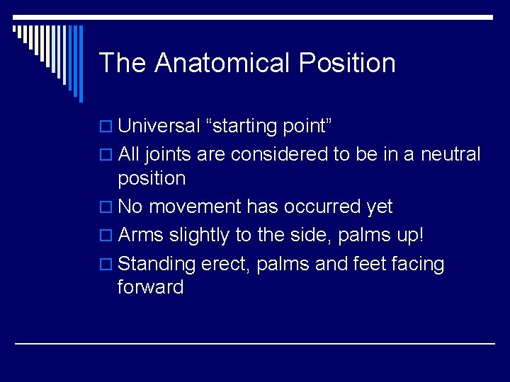 The Anatomical Position o Universal “starting point” o All joints are considered to be