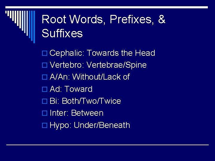 Root Words, Prefixes, & Suffixes o Cephalic: Towards the Head o Vertebro: Vertebrae/Spine o