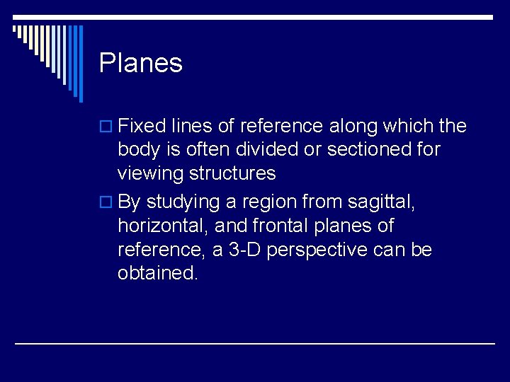 Planes o Fixed lines of reference along which the body is often divided or