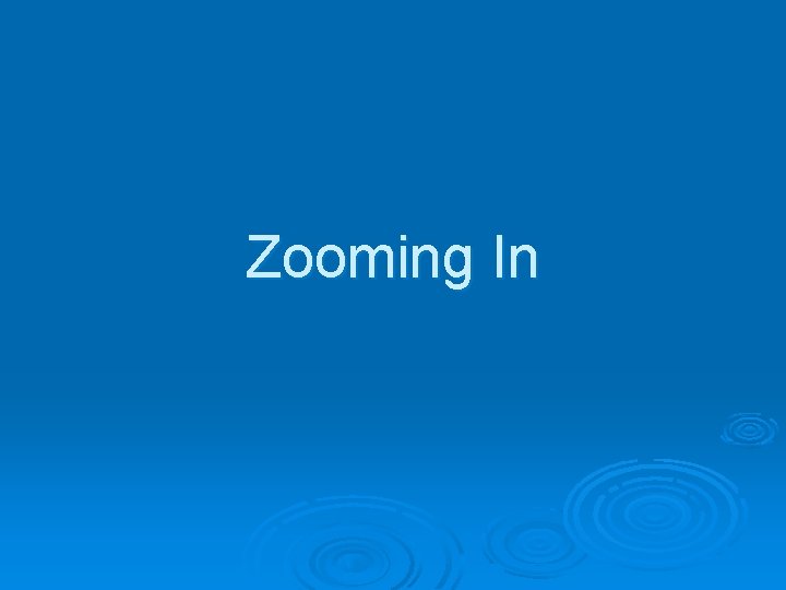 Zooming In 