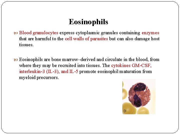 Eosinophils Blood granulocytes express cytoplasmic granules containing enzymes that are harmful to the cell Eosinophils Blood granulocytes express cytoplasmic granules containing enzymes that are harmful to the cell