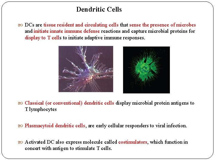 Dendritic Cells DCs are tissue resident and circulating cells that sense the presence of Dendritic Cells DCs are tissue resident and circulating cells that sense the presence of