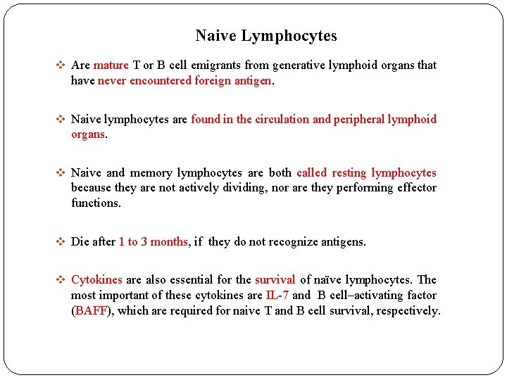 Naive Lymphocytes v Are mature T or B cell emigrants from generative lymphoid organs Naive Lymphocytes v Are mature T or B cell emigrants from generative lymphoid organs