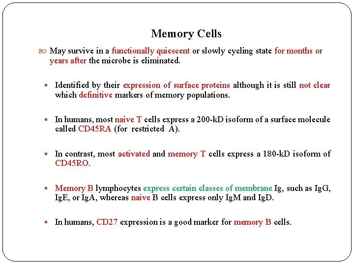 Memory Cells May survive in a functionally quiescent or slowly cycling state for months Memory Cells May survive in a functionally quiescent or slowly cycling state for months