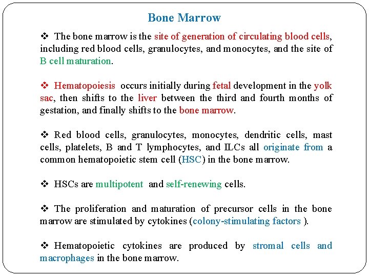 Bone Marrow v The bone marrow is the site of generation of circulating blood Bone Marrow v The bone marrow is the site of generation of circulating blood