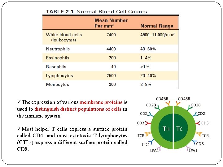 üThe expression of various membrane proteins is used to distinguish distinct populations of cells üThe expression of various membrane proteins is used to distinguish distinct populations of cells