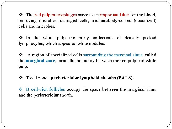 v The red pulp macrophages serve as an important filter for the blood, removing v The red pulp macrophages serve as an important filter for the blood, removing