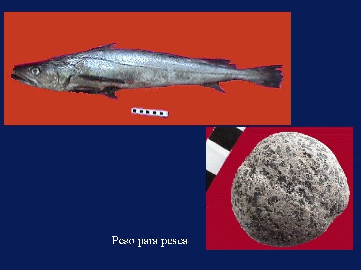 merluza fueguina Peso para pesca pesa de anzuelo 