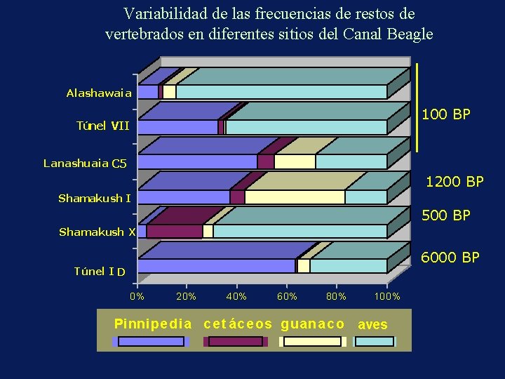 Variabilidad de las frecuencias de restos de vertebrados en diferentes sitios del Canal Beagle