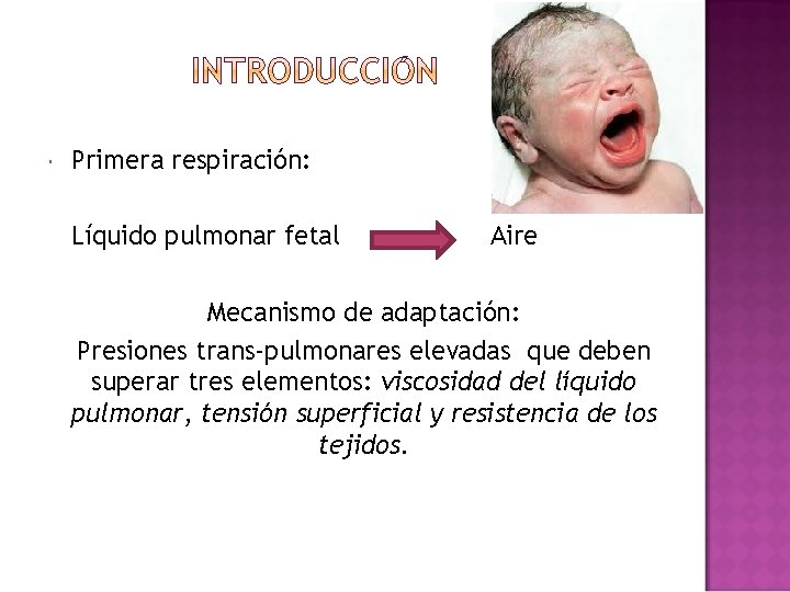  Primera respiración: Líquido pulmonar fetal Aire Mecanismo de adaptación: Presiones trans-pulmonares elevadas que