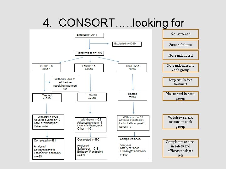 4. CONSORT…. . looking for No. screened Screen failures No. randomised to each group