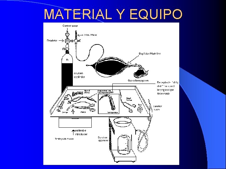 MATERIAL Y EQUIPO MATERIAL Y EQUIPO