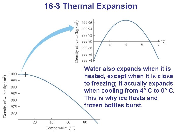 16 -3 Thermal Expansion Water also expands when it is heated, except when it