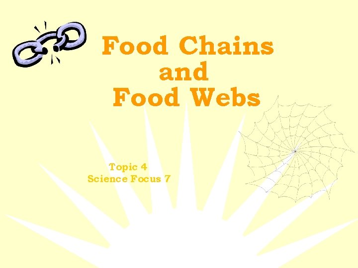 Food Chains and Food Webs Topic 4 Science Focus 7 