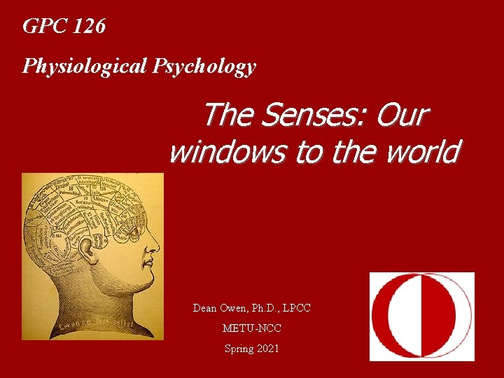 GPC 126 Physiological Psychology The Senses: Our windows to the world Dean Owen, Ph.