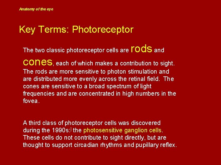 Anatomy of the eye Key Terms: Photoreceptor The two classic photoreceptor cells are rods