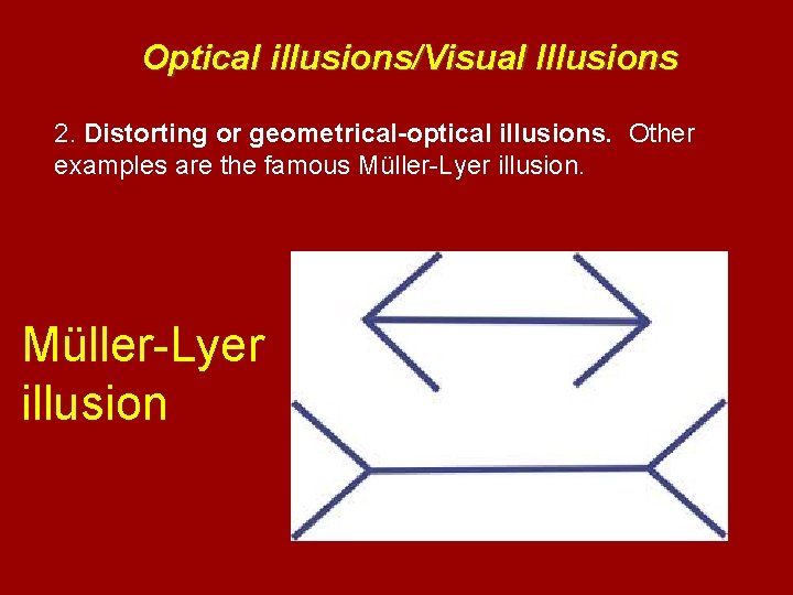 Optical illusions/Visual Illusions 2. Distorting or geometrical-optical illusions. Other examples are the famous Müller-Lyer