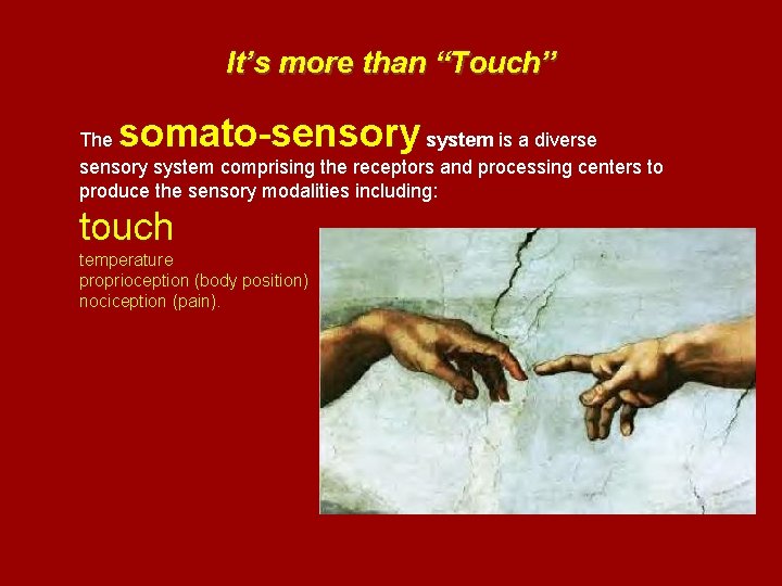 It’s more than “Touch” somato-sensory The system is a diverse sensory system comprising the