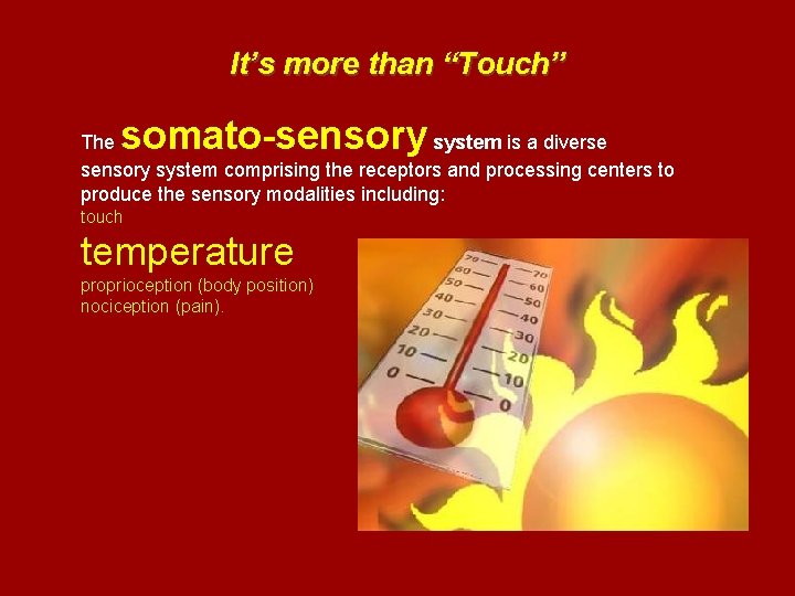 It’s more than “Touch” somato-sensory The system is a diverse sensory system comprising the