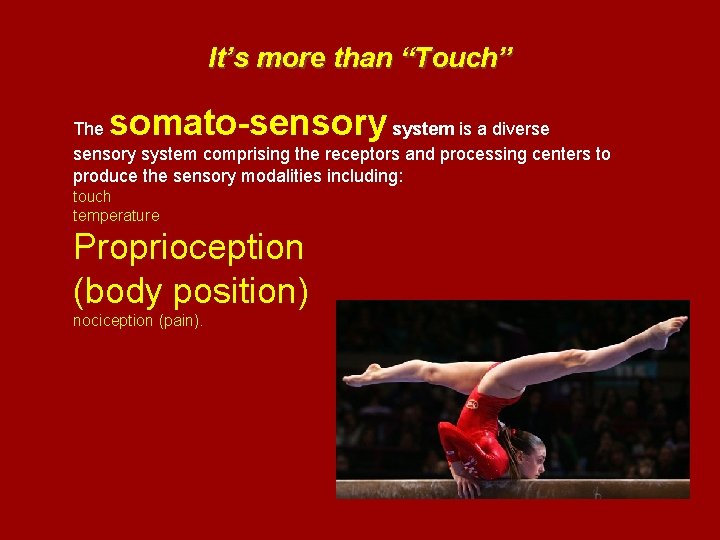 It’s more than “Touch” somato-sensory The system is a diverse sensory system comprising the