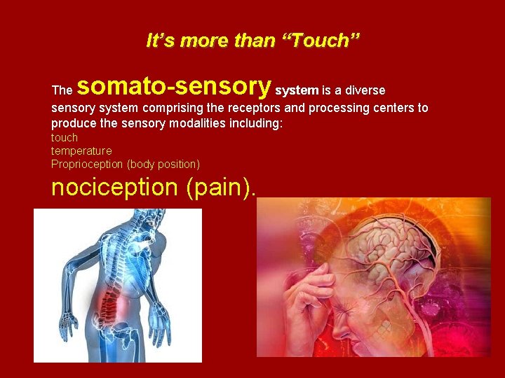 It’s more than “Touch” somato-sensory The system is a diverse sensory system comprising the