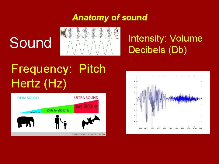 Anatomy of sound Sound Frequency: Pitch Hertz (Hz) Intensity: Volume Decibels (Db) 