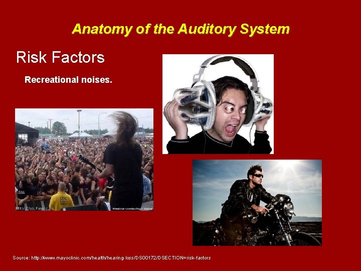 Anatomy of the Auditory System Risk Factors Recreational noises. Source: http: //www. mayoclinic. com/health/hearing-loss/DS