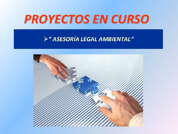 PROYECTOS EN CURSO Ø“ ASESORÍA LEGAL AMBIENTAL“ 