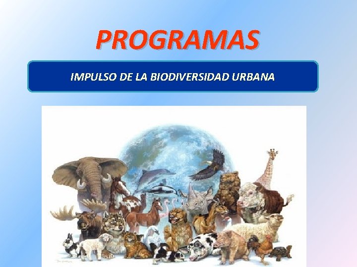 PROGRAMAS IMPULSO DE LA BIODIVERSIDAD URBANA 