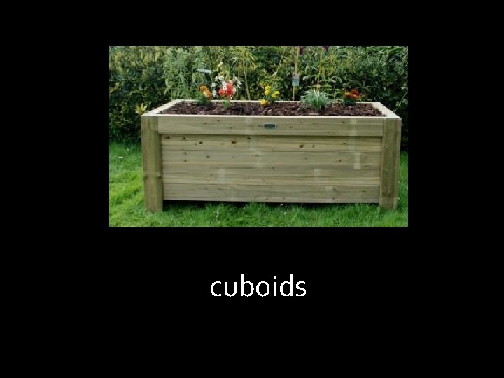 cuboids 