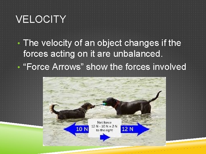 VELOCITY • The velocity of an object changes if the forces acting on it