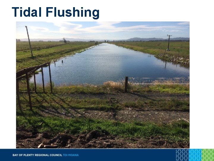 Tidal Flushing 
