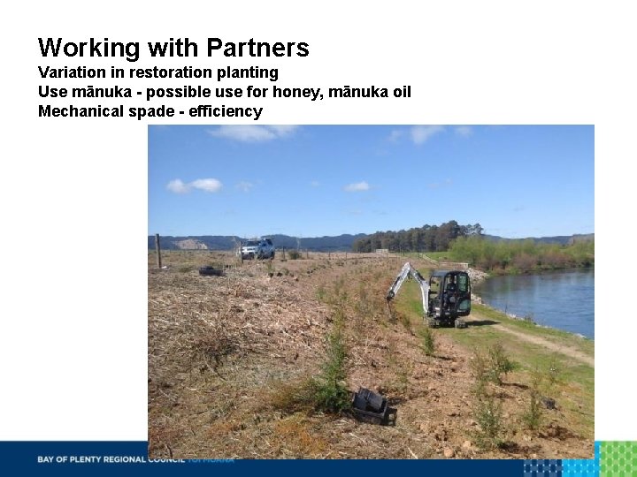 Working with Partners Variation in restoration planting Use mānuka - possible use for honey,