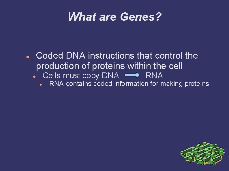 What are Genes? Coded DNA instructions that control the production of proteins within the