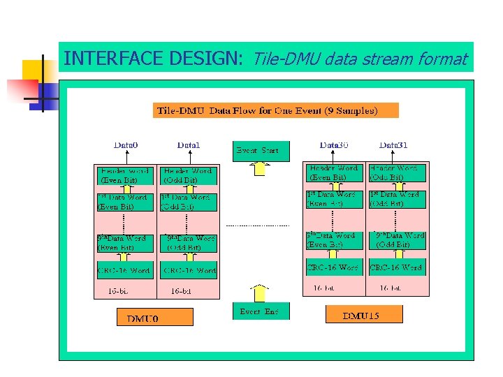 INTERFACE DESIGN: Tile-DMU data stream format 