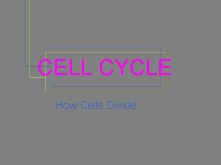 CELL CYCLE How Cells Divide 