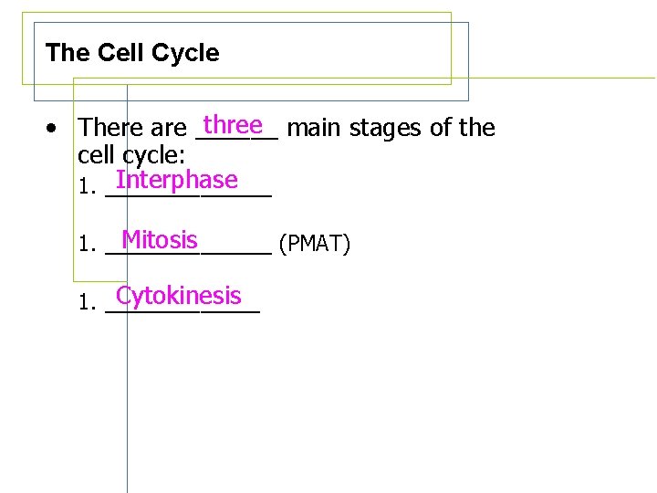 The Cell Cycle three main stages of the • There are ______ cell cycle: