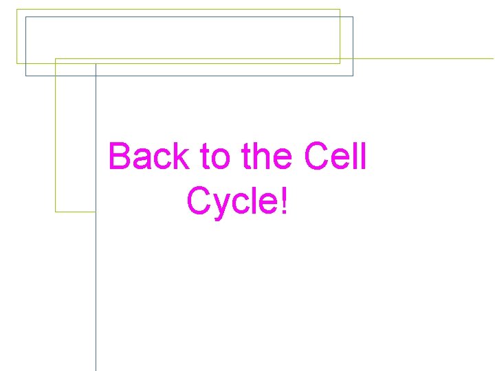 Back to the Cell Cycle! 
