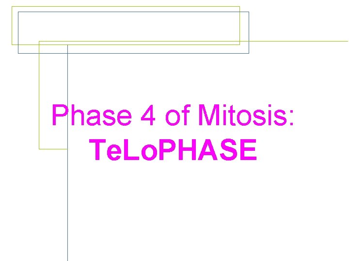 Phase 4 of Mitosis: Te. Lo. PHASE 