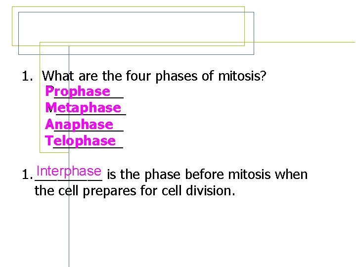 Review Questions 1. What are the four phases of mitosis? P_____ Prophase M_____ Metaphase