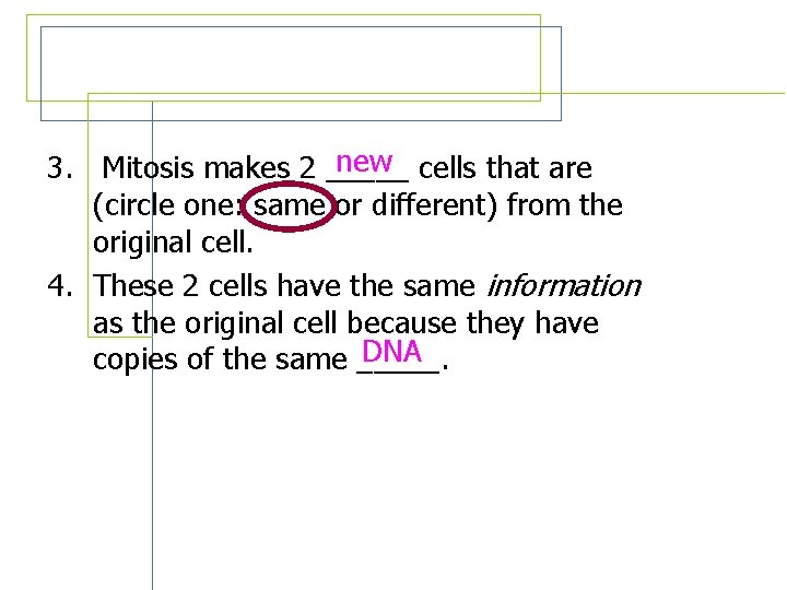 Review Questions new cells that are 3. Mitosis makes 2 _____ (circle one: same