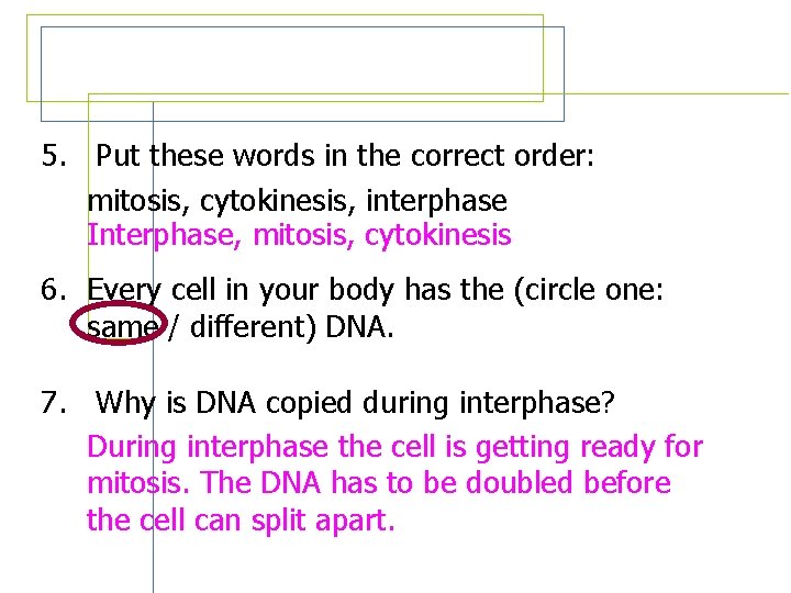 Review Questions 5. Put these words in the correct order: mitosis, cytokinesis, interphase Interphase,