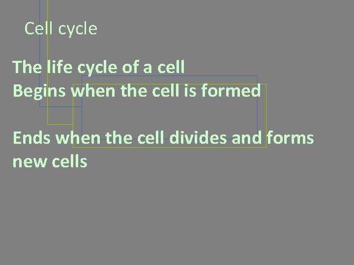 Cell cycle The life cycle of a cell Begins when the cell is formed