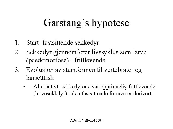 Garstang’s hypotese 1. Start: fastsittende sekkedyr 2. Sekkedyr gjennomfører livssyklus som larve (paedomorfose) -