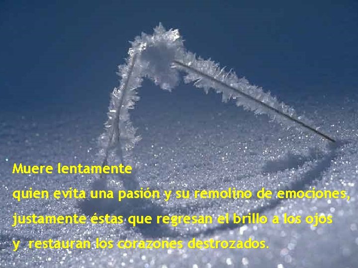 Muere lentamente quien evita una pasión y su remolino de emociones, justamente éstas que